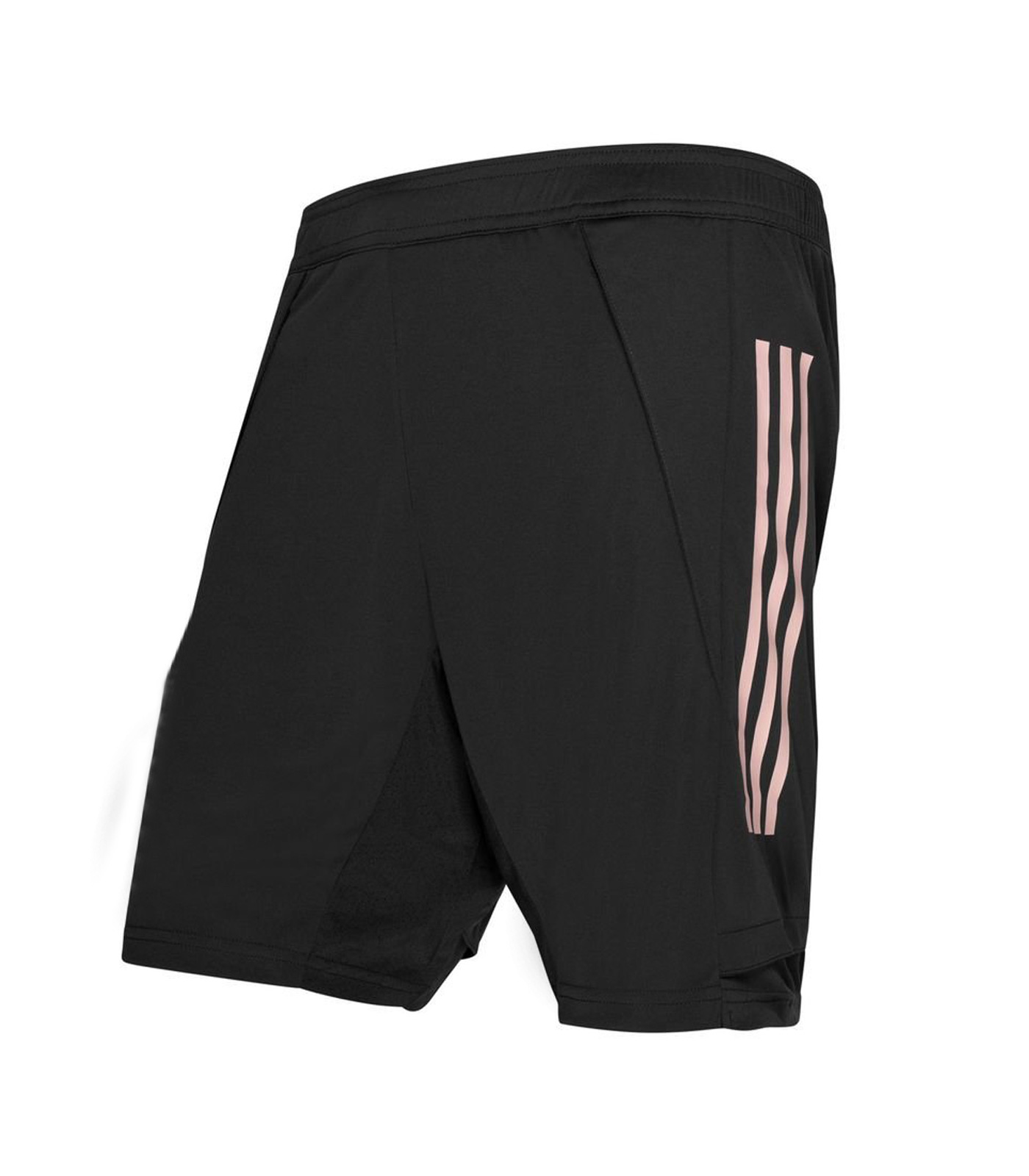 germany-training-shorts-euro